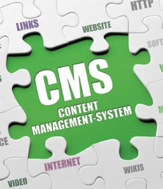 CMS Services