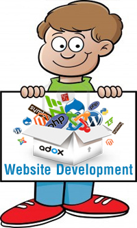 Website development