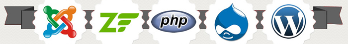 PHP programmers and developers